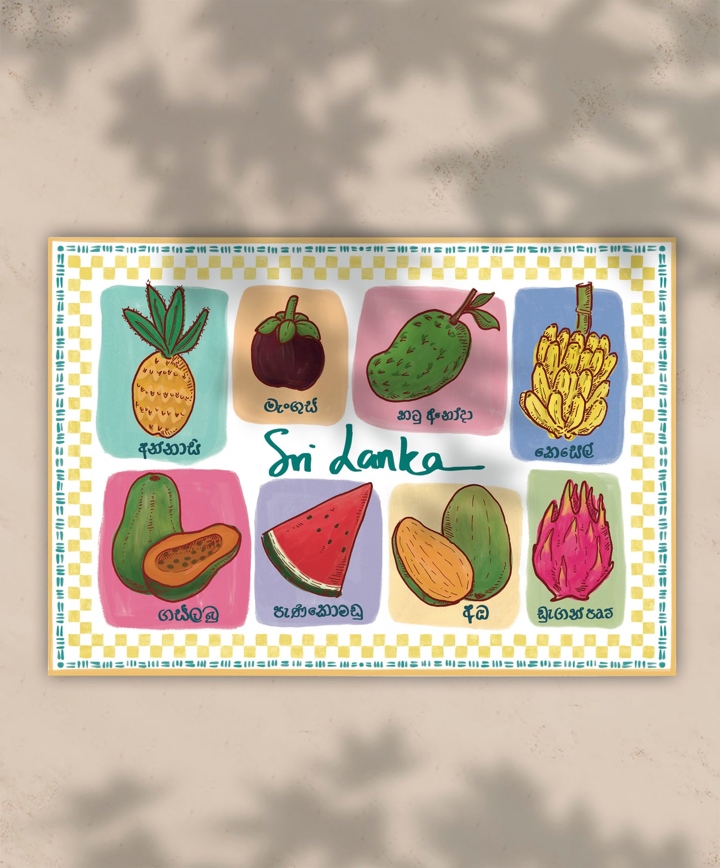Hand Illustrated Postcards